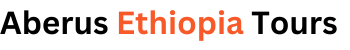 Aberus Ethiopia Tours logo
