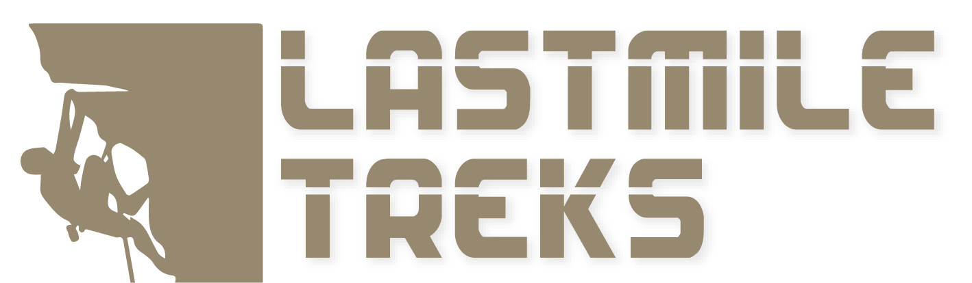 Africa Lastmile Expeditions logo