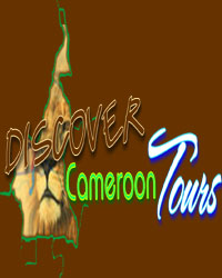 Discover Cameroon Tours Ltd. logo