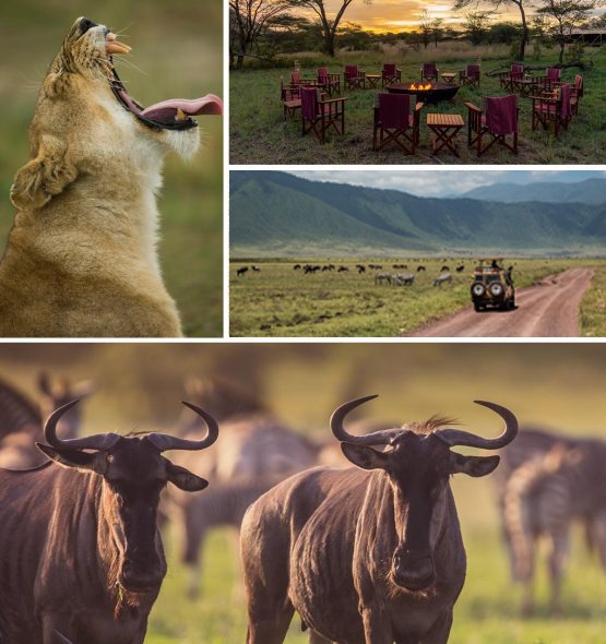 Usambara Expedition logo