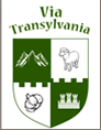 Via Transylvania Tours logo