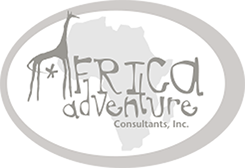 Africa Adventure Consultants logo