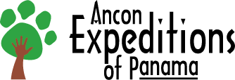 Ancon Expeditions Of Panama logo
