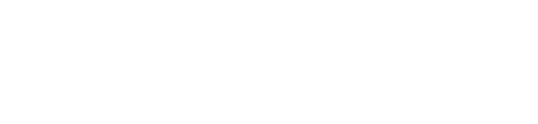 Borton Overseas logo