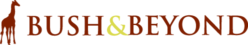 Bush And Beyond logo
