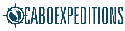 Cabo Expeditions Mexico logo