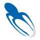 Bluestone Srl logo