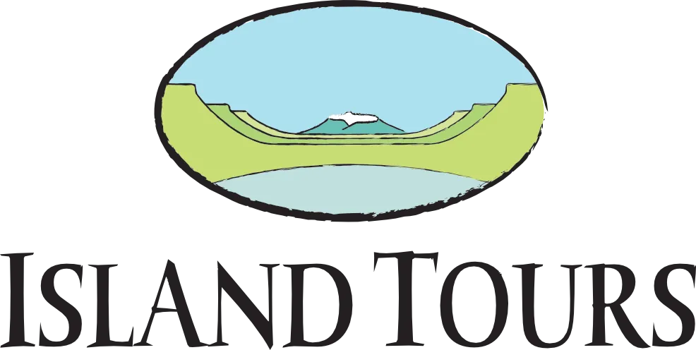 Island Tours Srl logo
