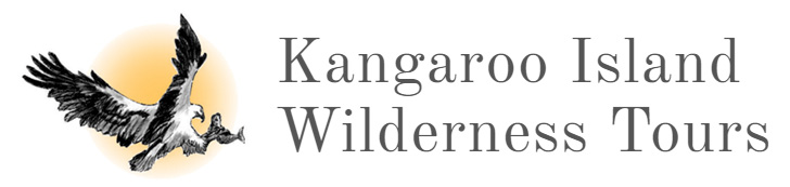 Kangaroo Island Wilderness Tours logo