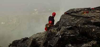 Live The Dash Tours logo