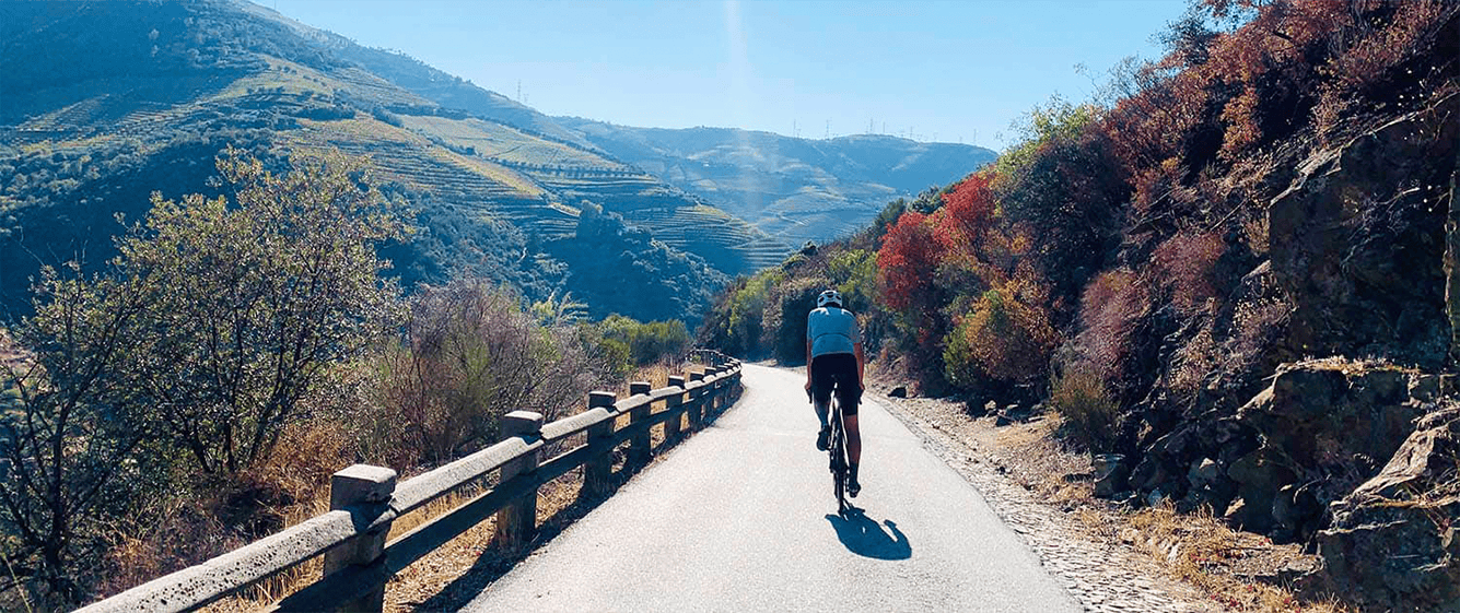 Portugal Nature Trails logo