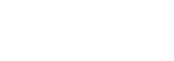 Blitz Exclusive logo