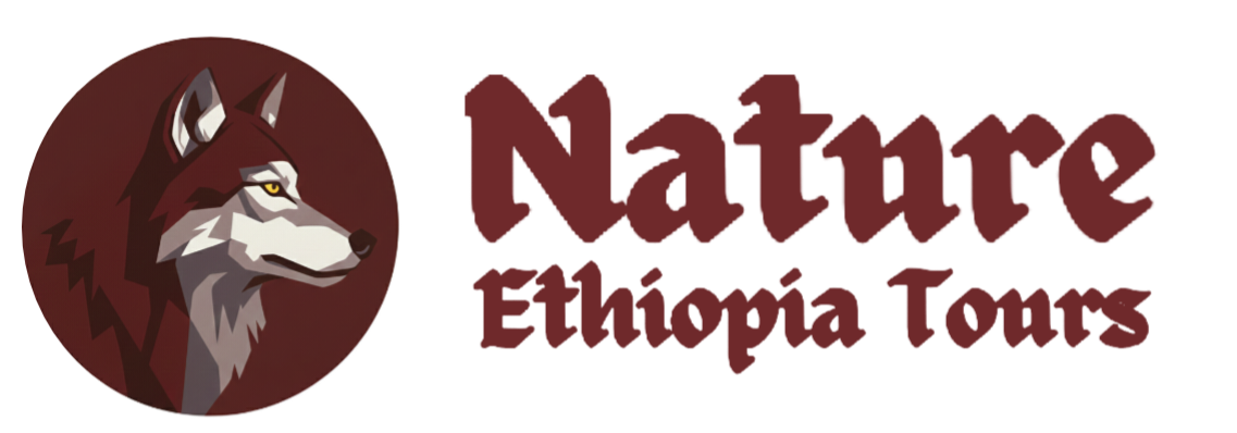 Nature Ethiopia Tours logo