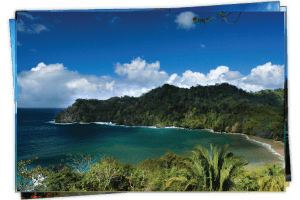 Classic Tours & Travel logo